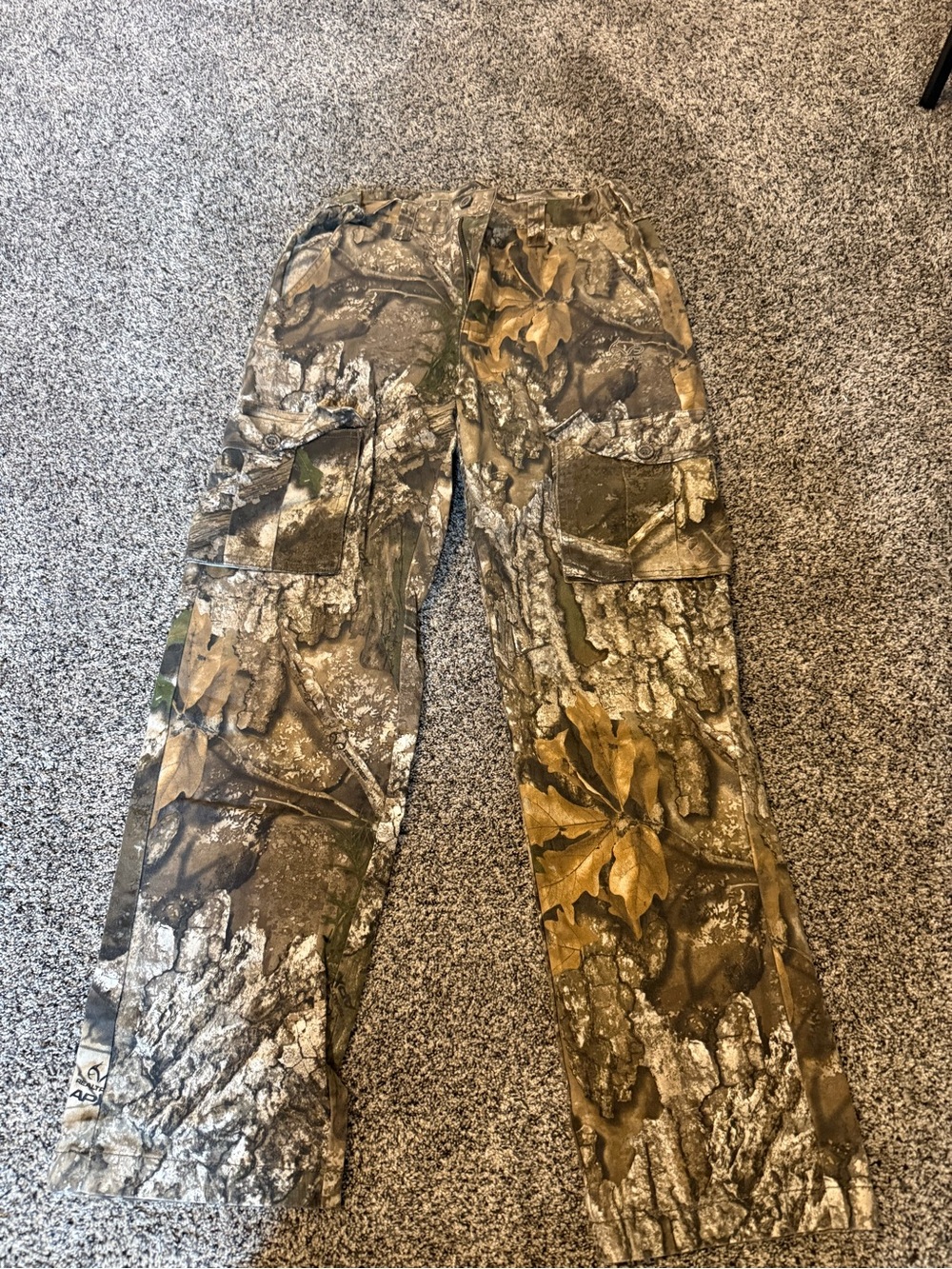 Realtree Men's Camo Cargo Pants in Brown and Green